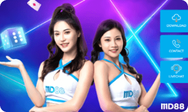 top-3-online-casino-md-88